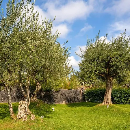 Design In * Piedimonte Etneo